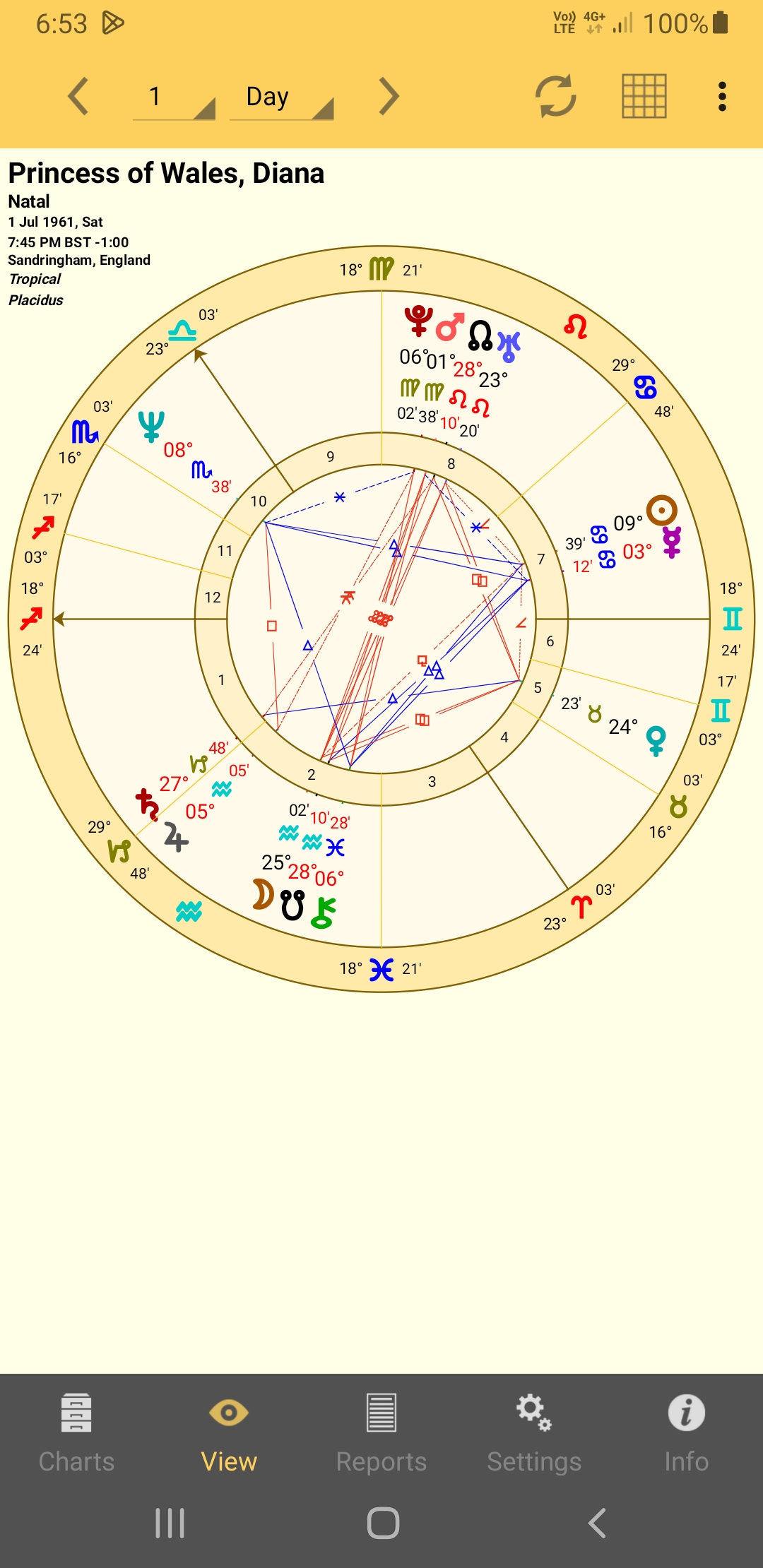 The View Pane showing a single chart