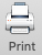 Icon; printer