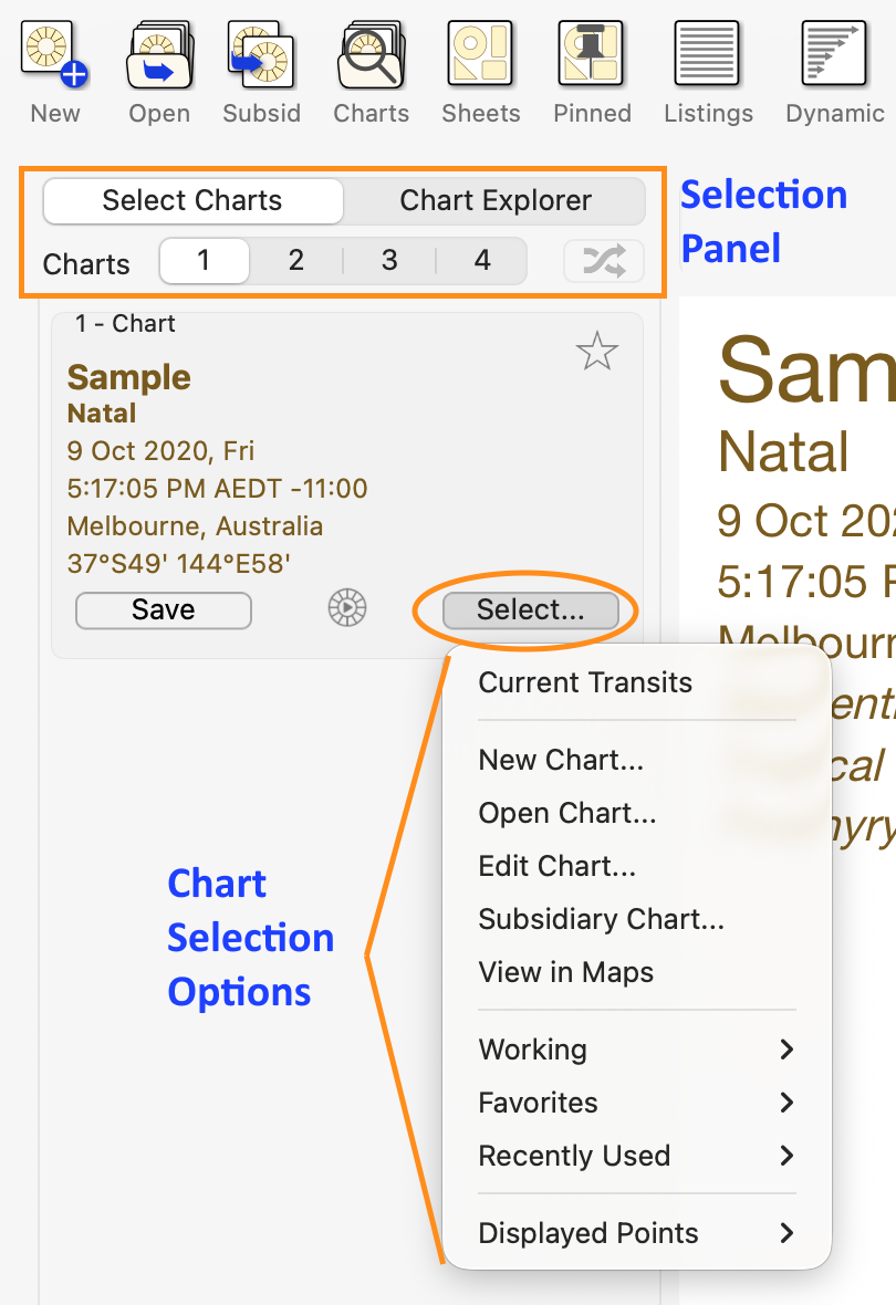 Creating a new natal chart - step 2