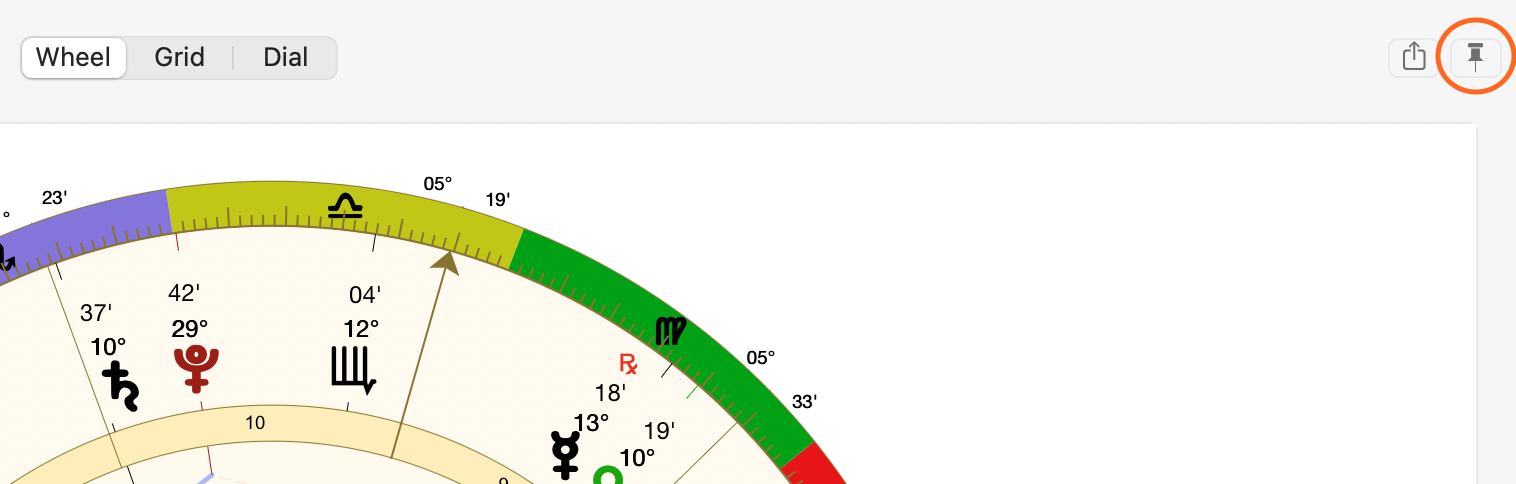 Icon; pin, circled