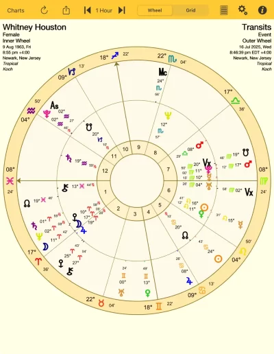 Bi Wheel on iPad image