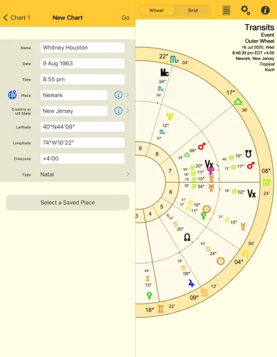 Natal Chart Details on iPad image