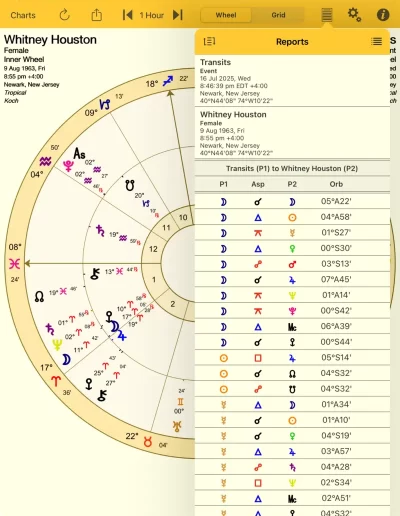 Aspect List Report on iPad image