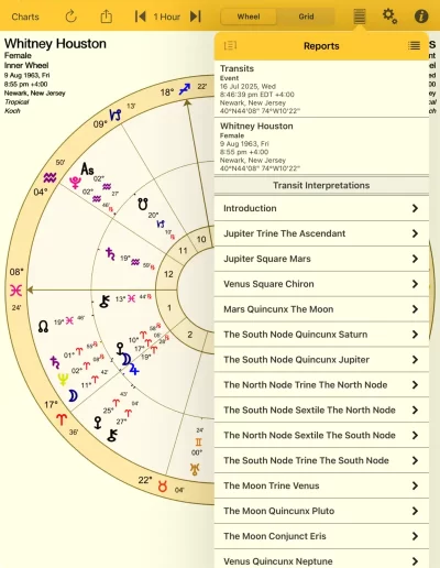 Interpretations Report on iPad image