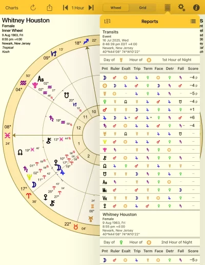 Essential Dignities Report on iPad image