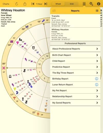 Professional Reports on iPad image