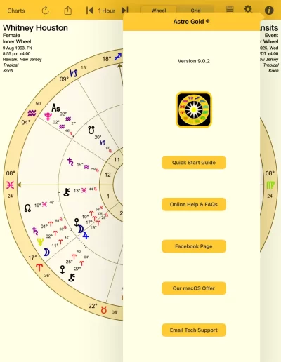 Options on iPad image